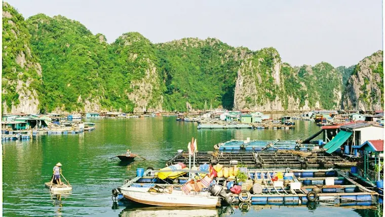 Cat Ba au Vietnam